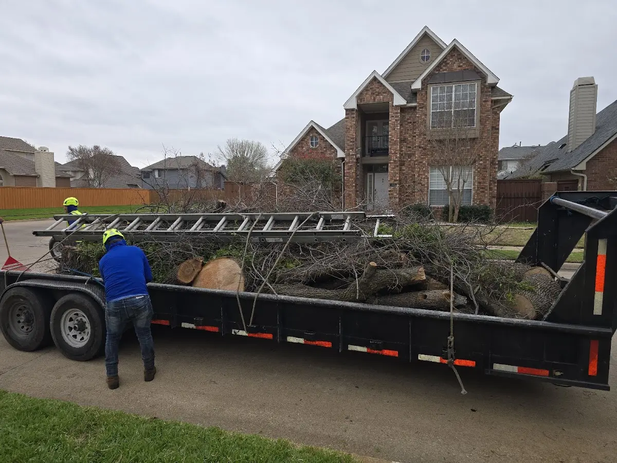 Expert Tree Fertilization with proper safety equipment in Steinhatchee